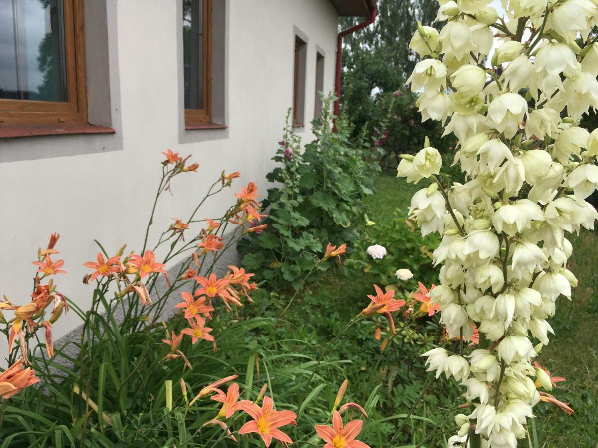 Siedlisko Besiekiery Apartment Bagian luar foto